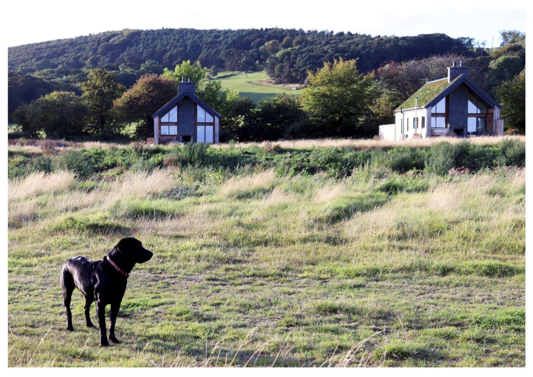 Eco-Lodge With Sea View Charleton Estate Colinsburgh Екстер'єр фото